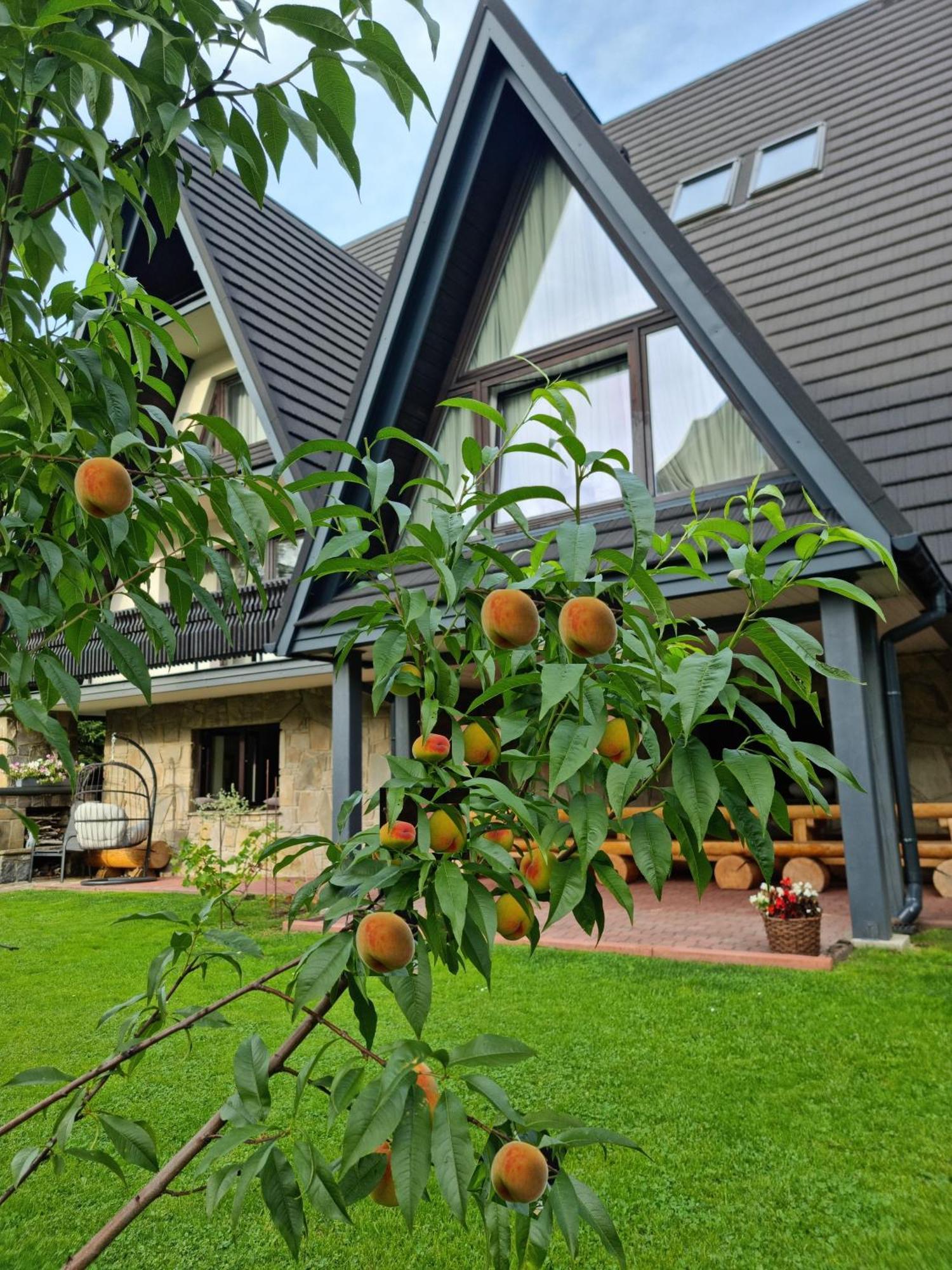 Pokoje "Cicha" Zakopane Exterior foto